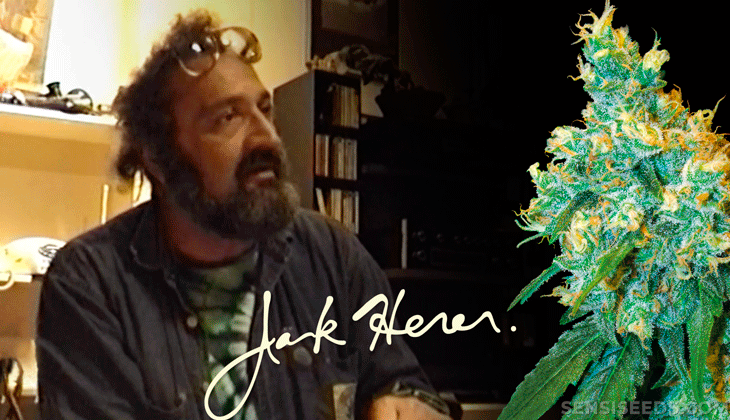 ¿Quien es Jack Herer? Os contamos mas sobre el activista de marihuana que tiene una variedad con su nombre